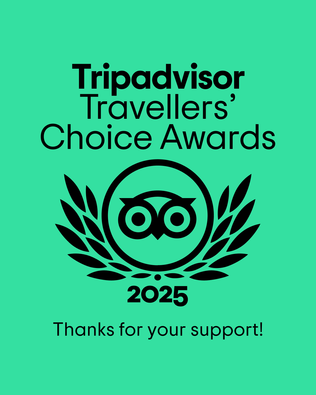 TC_thank you social_LL_1080 x 1350_2025